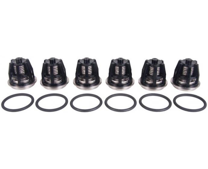 طقم بلوف انتربامب ايطالي INTERPUMP VALVE KIT43 / W8