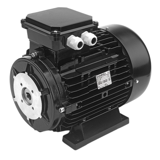 [1052114] NICOLINI Hollow Shaft Electric Motor 4-Poles 11kW 15HP 1450Rpm 380V (Black)