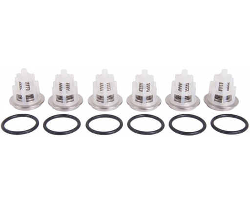 [CWIPSP00053] INTERPUMP KIT169 High Pressure Pump Valve Kit For W2525