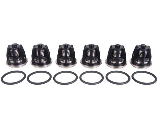 [CWIPSP00080] INTERPUMP KIT43 High Pressure Pump Valve Kit For W8