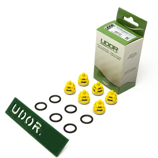 [CWUPSP00036] UDOR KIT2 High Pressure Pump Valve Kit For PKC/BC