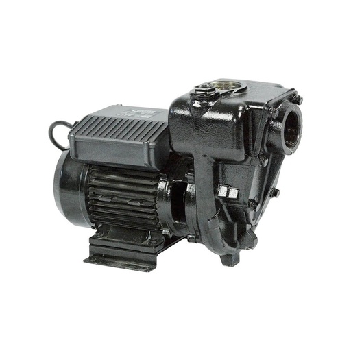 [DPFPXX00008] PIUSI E300 Diesel Transfer Eectric Pump 550L/Min 2 Inch 220V