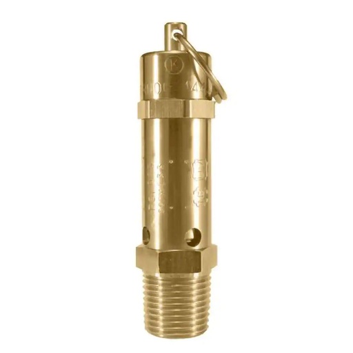 [PSACAS00013] FG Safety Valve 1/2 Inch 12 Bar
