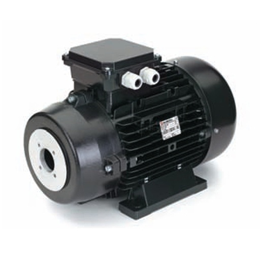[CWWMXX00010] NICOLINI Hollow Shaft Electric Motor 4-Poles 15kW 20HP 1450Rpm 380V (Black)