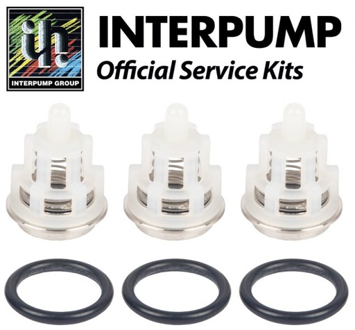 [CWIPSP00077] INTERPUMP KIT341 High Pressure Pump Lower Valve Kit For SS3B2021