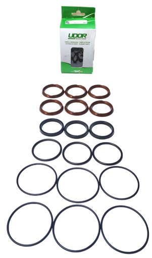[CWUPSP00033] UDOR KIT145 High Pressure Pump Water Seal Kit For VX-B 160/130